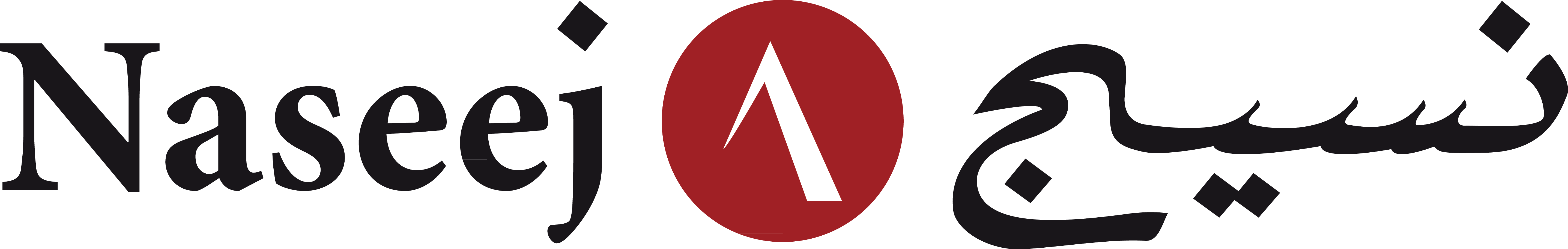 Naseej for Technology Dubai Branch