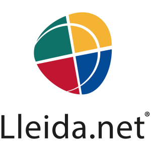 Lleida Information Technology Network Services LLC